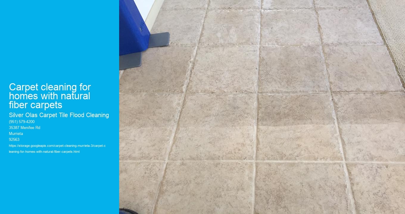 Carpet cleaning for homes with natural fiber carpets