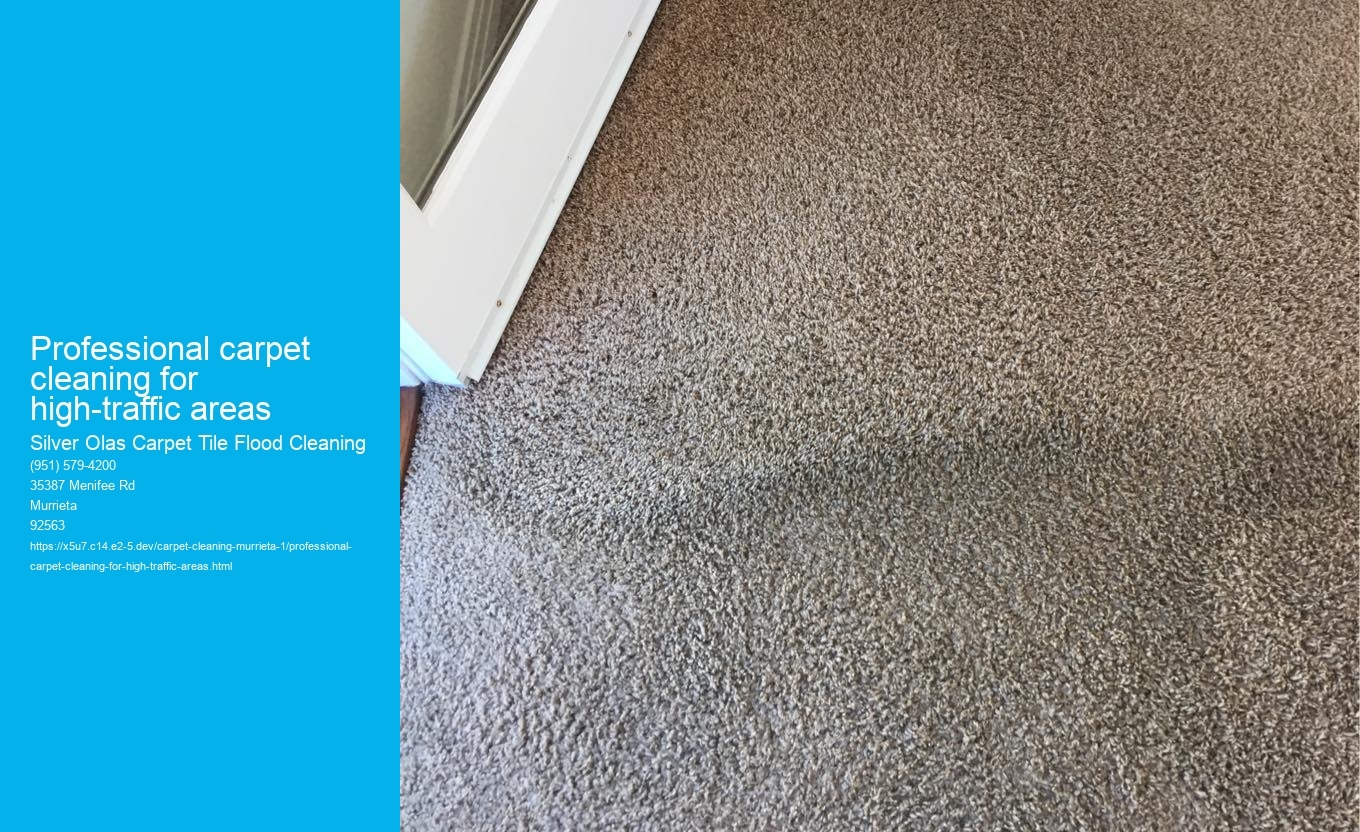 Professional carpet cleaning for high-traffic areas